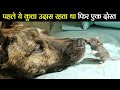 पहले ये कुत्ता उदास रहता था फिर एक अजीब दोस्त मिलाThis dog was depressed until he met unusual friend