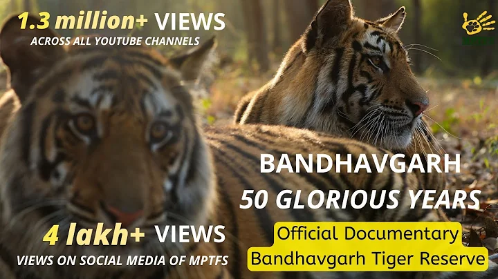 Official Film Bandhavgarh Tiger Reserve | Bandhavgarh - 50 Glorious Years - DayDayNews