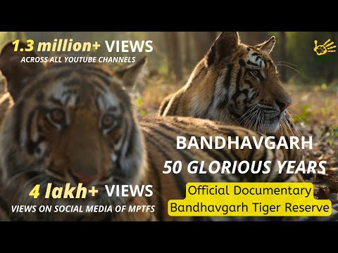 Official Film Bandhavgarh Tiger Reserve | Bandhavgarh - 50 Glorious Years