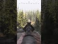 Longshot Silenced Winfield.
