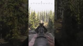 Longshot Silenced Winfield.