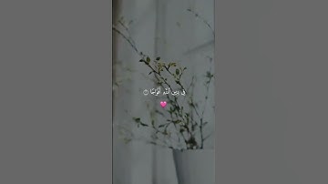 سورة النصر بصوتٍ خاشع يُبكي القلوب