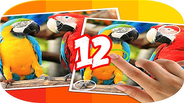 Tap 5 Differences Level 12 Walkthrough