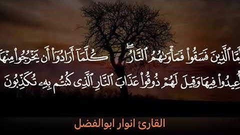 سورة السجدة /القارئ انوار أبو الفضل
