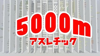 【マイクラwiiu】5000mアスレチック対決!!withしょうぷ