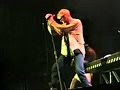 Alice in Chains - Kemper Arena, Kansas, MO [07/03/1996]