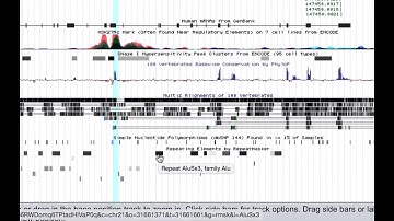 IIHG Intro to the UCSC Genome Browser | Part 2 of 5