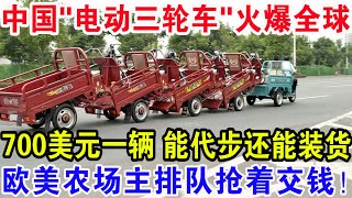 中国“电动三轮车”火爆全球，700美元一辆能代步还能装货，欧美农场主们排队抢着交钱！