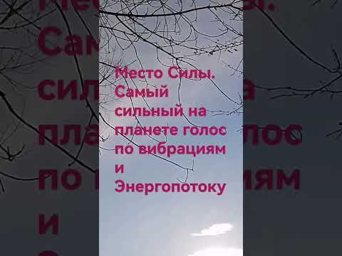 Поет и мужским