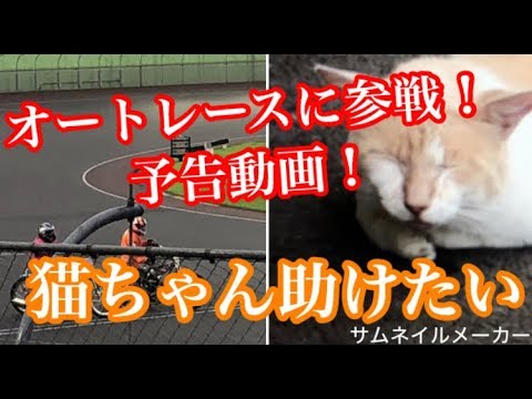 オートレース 元SMAP森且行君は元気です！野良猫ちゃんも元気にしてよ！〜編
