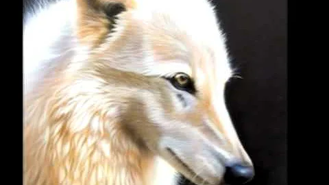Wolves - Art by Sandi Baker