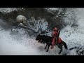 Crimson Desert Free Roam NEW REGION