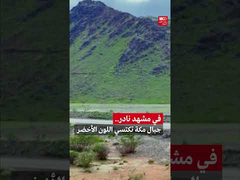 في مشهد نادر جبال مكة تكتسي اللون الأخضر بعد أمطار شهدتها المنطقة مؤخرا