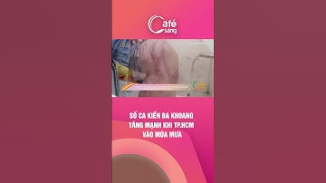 "Kiến ba khoang xuất hiện" - cụm từ trở nên ám ảnh với hầu hết người dân sống ở TP.HCM trong mùa mưa