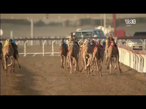 المركاض تقرير عن السباقات التميدية الوثبة