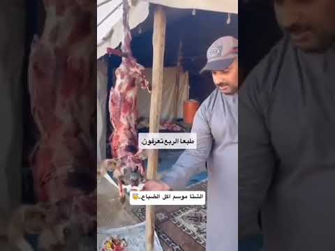 شاب سعودي ياكل حيوان الضبع شاب سعودي ياكل حيوان مفترس ضبع اشترك بالقناة وفعلو الجرس