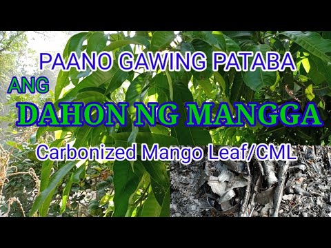 Video: Ano Ang Beneficiation Ng Karbon At Paano Ito Ginagawa