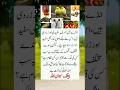 Kon Kon Like Kre Ga Or SubhanAllaha Likhe Ga Truelines Juma Kaba Islamic Makkah Viral Khaliqomalik Kon Kon Like Kre Ga Or SubhanAllaha Likhe Ga Truelines Juma Kaba Islamic Makkah Viral Khaliqomalik