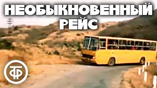 Необыкновенный рейс. Душевная кинокомедия (1983)