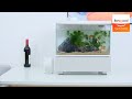 Xiaomi descriptive geometry desgeo 30l fish aquarium  banggood toy