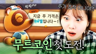 모동숲 무주식으로 인생의 깨달음을 얻어버린 유튜버