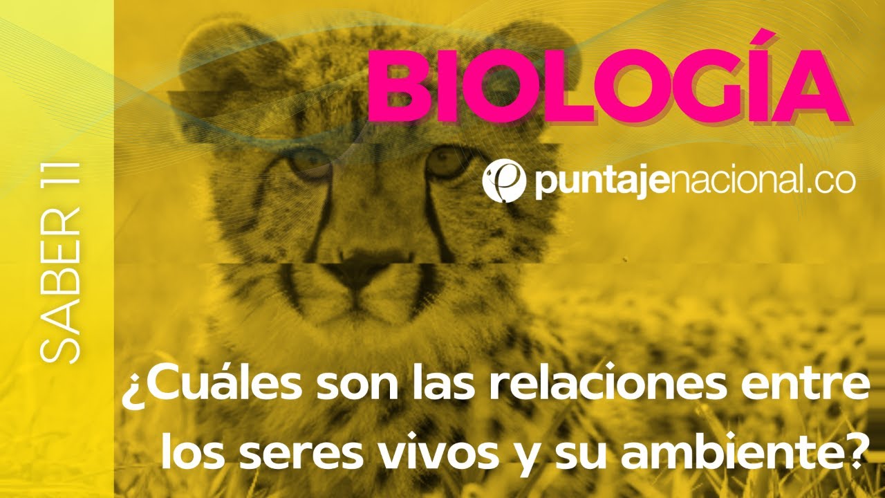 SABER 11 - ICFES | Ciencias Naturales Biología | Relaciones entre los seres vivos y su ambiente
