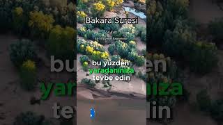 Bakara suresi meali 54. Ayet Surenin tamamı kanalımda #kuran #quran #muslim #islam