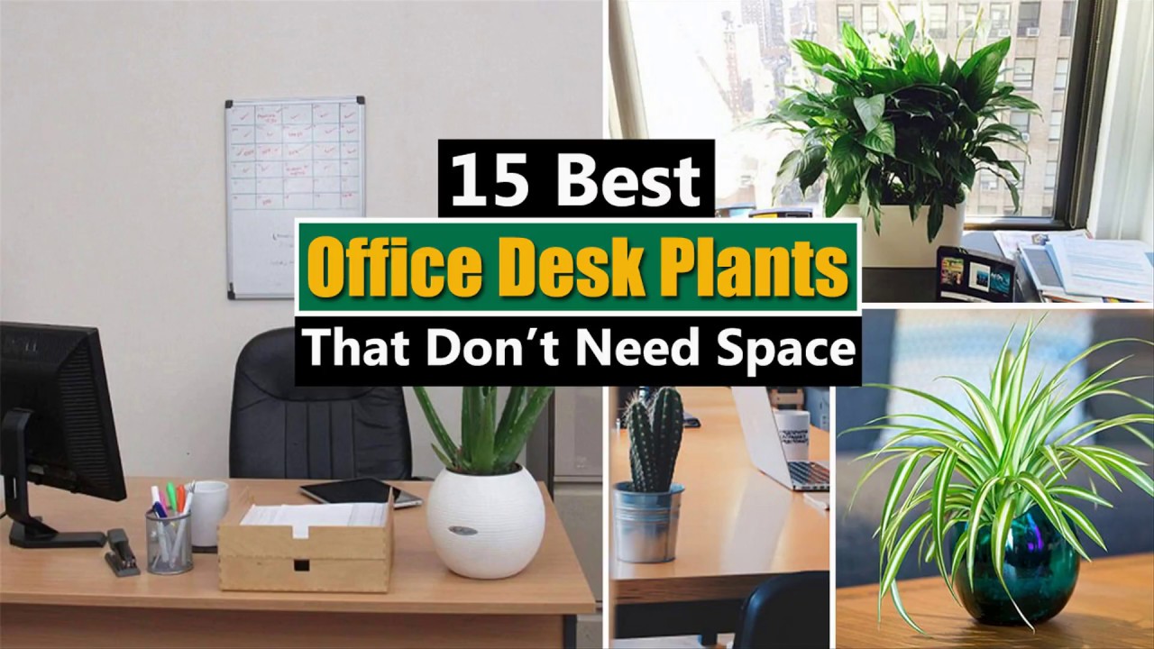 Truth Behind The Very Best Business Office Desk 2042