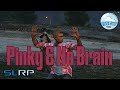 Pinky  no brain  fivem roleplay  gtarp  roadto2k police gta lawenforcement