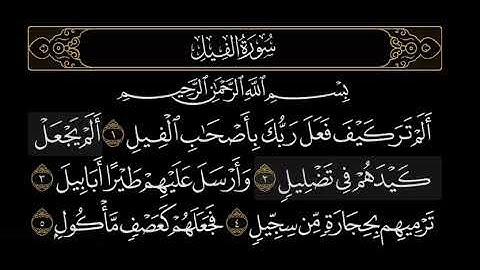 سورة الفيل بصوت#الشيخ_ادريس_ابكر #تلاوة_خاشعة #راحة_نفسية