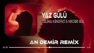 Zeliha Kendirci&Necibe Gül - Yaz Gülü ( Furkan Demir Remix ) Dans Etmez mi Hallenmez mi Resimi