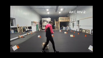 AKC Virtual Rally Intermediate Course #2