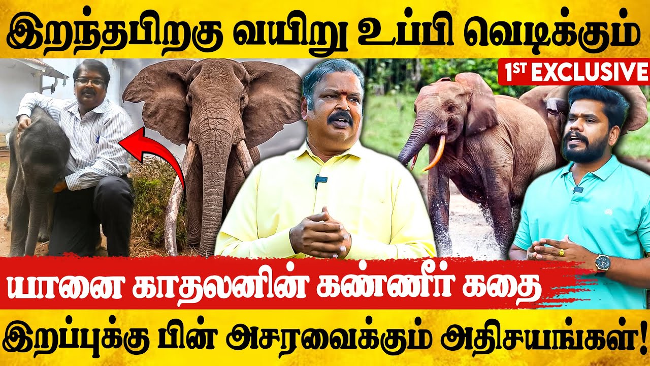 🐘300 யானைகளுக்கு மேல Post- m*rtem செய்தவர்|பகீர் தகவல்கள்! Rtd  veterinary officer Ashokan Exclusive