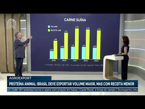 Agroexport: Brasil deve exportar volume maior de carne, mas com receita menor | Canal Rural