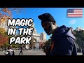 🇺🇸 Nowy Jork - Magic in the park