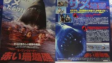 赤い珊瑚礁　オープン・ウォーター (2011) 映画チラシダミアン・ウォルシュ＝ハウリング ゾーイ・ネイラー