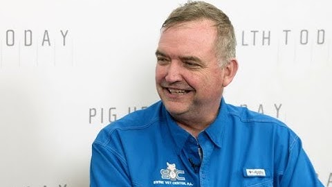 Batch farrowing makes a comeback on small- to medium-sized sow farms