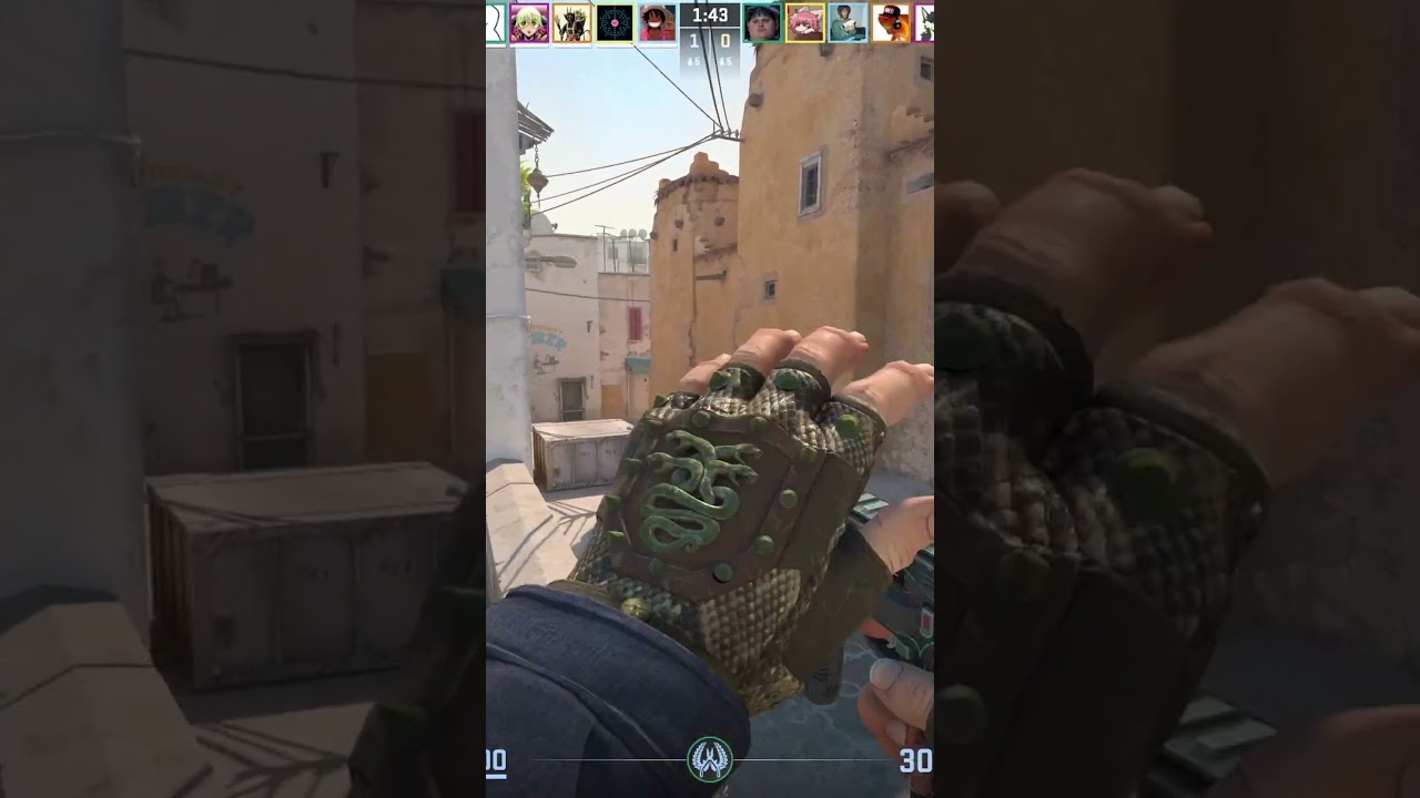 Explaining my eco round ace 