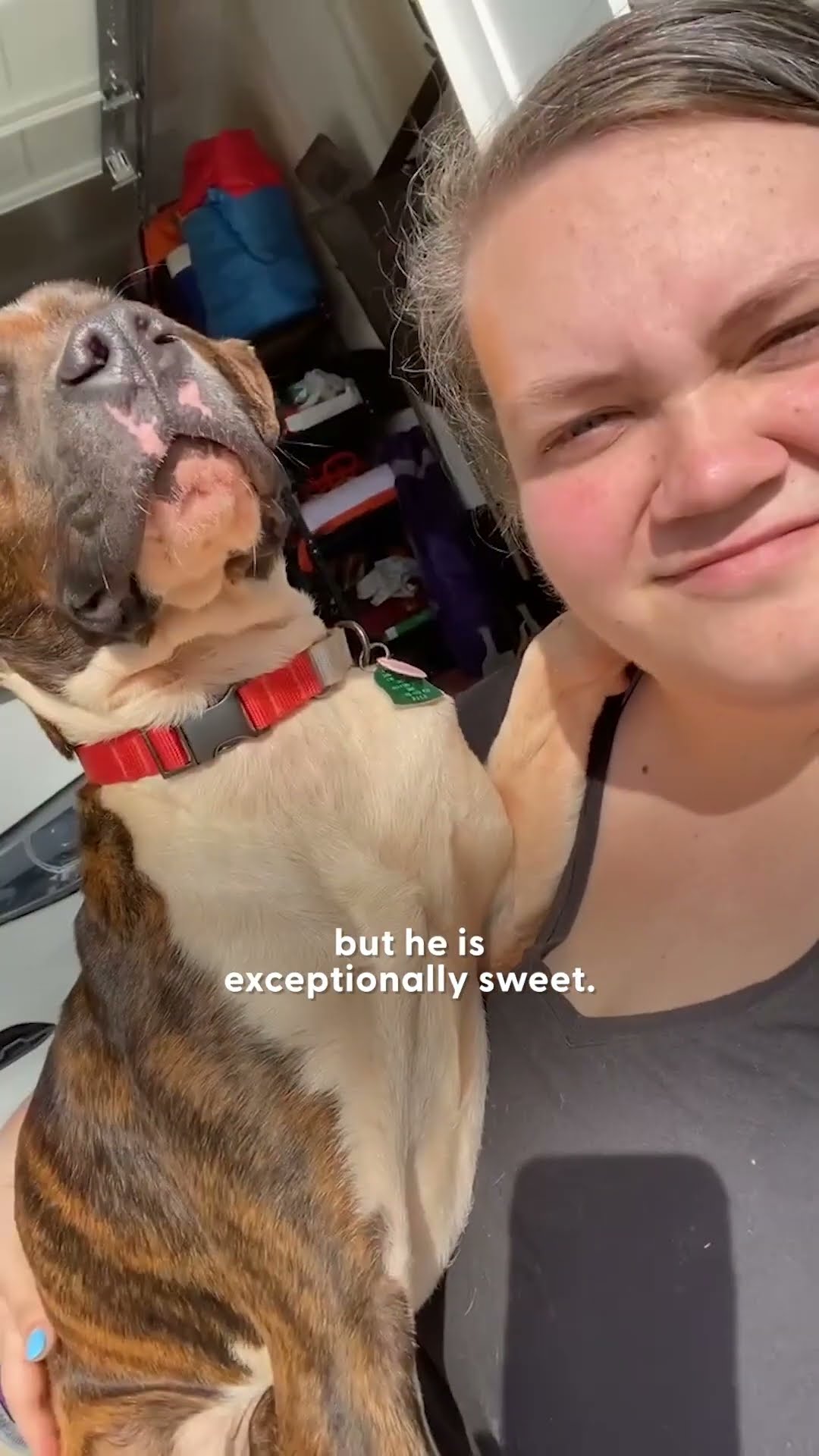 Dog Who Just Got Adopted Holds Mom's Hand The Whole Way Home | The Dodo