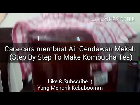 Video: Cara Membancuh Teh Cendawan