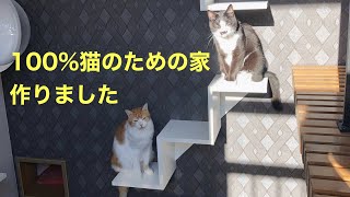 【猫と暮らす家】100%猫のために作った家に住んで2年たちました