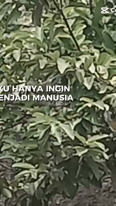 #arti dari sebuah krsabaran