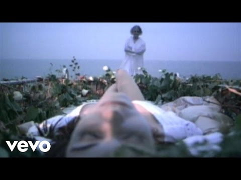 Manic Street Preachers - Roses In The Hospital (Official Video)