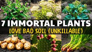 Stop Fighting Your Bad Soil: These 7 "Immortals" Will Grow Anywhere!