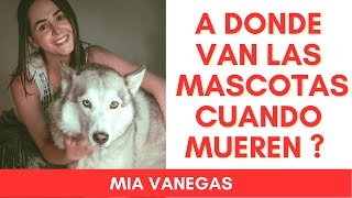 EXISTE EL MÁS ALLÁ PARA LAS MASCOTAS ?