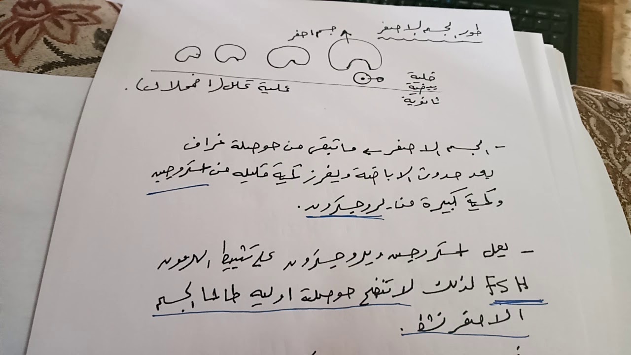 طور الجسم الاصفر/دورة المبيض