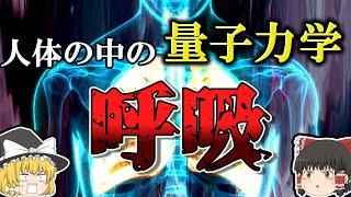 【学校で習わない理科】実は呼吸は量子力学【ゆっくり解説】【雑学】