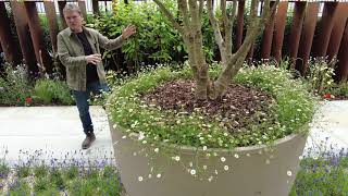 Using Layers in Garden Design Forest Garden Design Sightline Layer