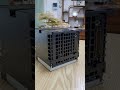 Why is Allen so popular among engineers?#allenbradley #plc #hmi #vfd #benautomation #engineering
