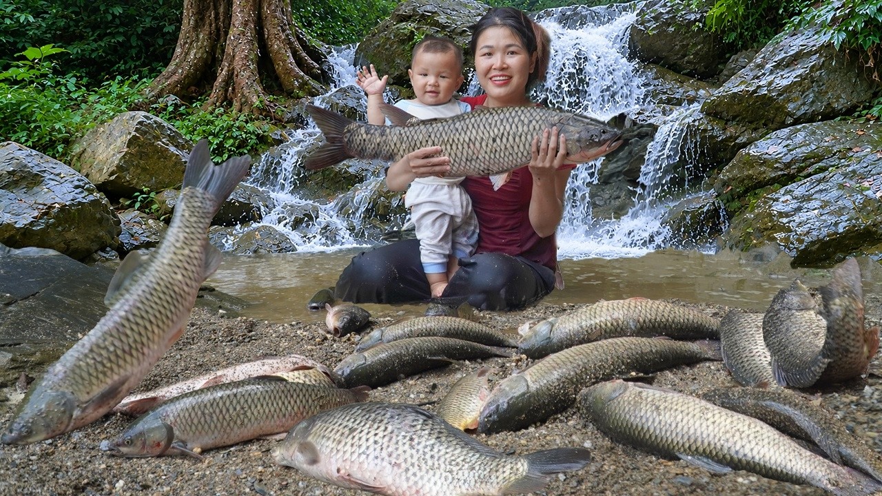 How to dam a Waterfall to catch Giant Fish to sell at the Market ...
